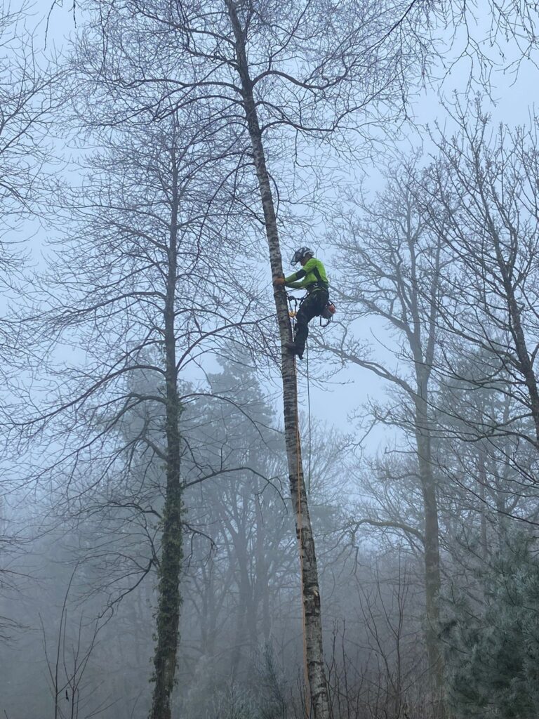 JO PAYSAGE - paysagiste girancourt